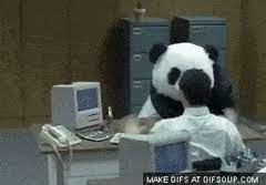 Share the best gifs now >>> Best Panda Computer Gifs Gfycat