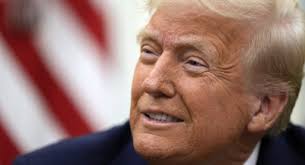 Tim Cook: Latest News, Top Stories & Analysis