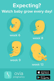Pin On Ovia Pregnancy App