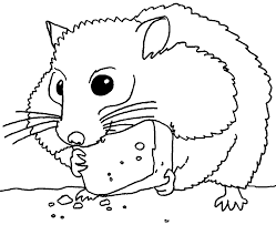 Hamster Malvorlage Malvorlagencr