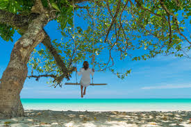 Encontre imagens stock de maldivas praia resort paisagem panorâmica em hd e milhões de outras fotos, ilustrações e imagens vetoriais livres de direitos na coleção da shutterstock. Ilhas Maldivas Destinos Kangaroo Tours