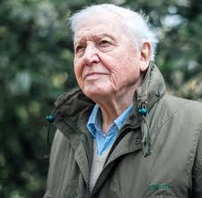 Helen Ramsden (@HelenRamsden7)