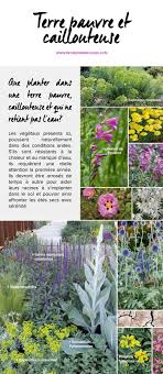 Terrain Sec Selection De Vegetaux Et De Plantes Pour Votre Terrain Sec Jardin Sec Idees Jardin Jardins Jardin Mediterraneen