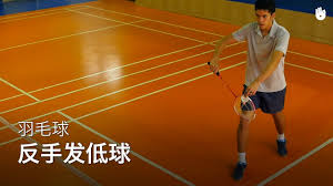 羽毛球选手李茵晖晒和德约合影：国外最爱的球星 国羽女将贾一凡:想吃免费麦当劳 可惜奥运村没有 顶住对手不断冲击 王懿律/黄东萍艰难收获开门红 ç¾½æ¯›çƒå'çƒ åæ‰‹å'ä½Žæ‰‹å°çƒ å­¦ä¹ ç¾½æ¯›çƒ Youtube