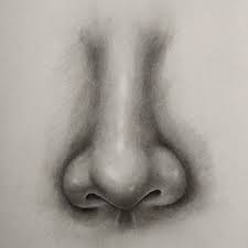 Subscribe to this channel for this and more.#howtodraw #nosedisclaimer: How To Draw Nose Front View Lov4arts Easy Drawing Techniques