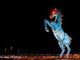 You can contact the airport via phone at +13033422000. The Real Story Behind Denver S Demonic Horse Outthere Colorado
