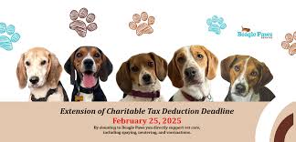 Good Afternoon!! Happy Friday! I am new to the group and was hoping to get  some input