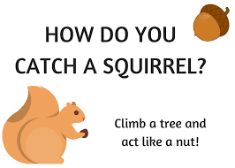 The joke is just one of many funny jokes on joke buddha! Squirrel Appreciation Day Kid Friendly Facts Crafts Books Snacks