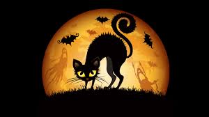 Navigieren zu diesem bild auf ihrem pc (es befindet sich wahrscheinlich in „downloads). Download Hintergrundbild Mond Katze Halloween 1920x1080 Schwarze Katze Und Mond Gelb Halloween