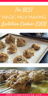 Oatmeal Lactation Cookies Recipe Breastfeeding Frugal Nesting Recipe Lactation Cookies Recipe Lactation Recipes Baby Food Recipes