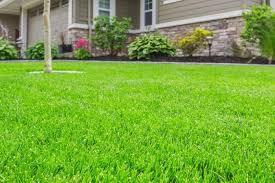 Lawn Care Landscaping Pest Control Services Pure Life Lawn Care In 2020 Pest Control Services Pest Control Lawn Care