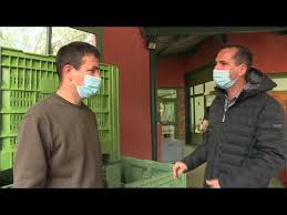 Fabrication De L Huile D Olive A Callas Dans Le Var Youtube