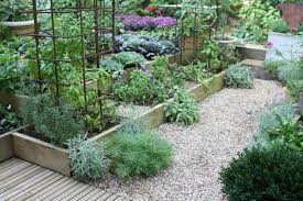 Download in under 30 seconds. How To Grow A Herb Garden Design Ideas For Outdoors And Indoors Deavita