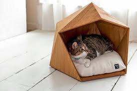 Sokak Kedileri Icin Kedi Evi Mobilya Dekorasyon