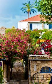 We Are Lebanon Byblos Lebanon Lebanon Culture Lebanon