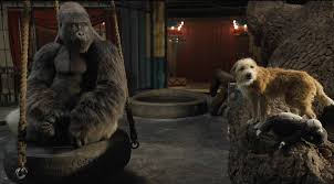Petersburg), russian physiologist known chiefly for his development of the concept of the conditioned reflex. The One And Only Ivan Movie Review A Stirring Film With A Lot Of Heart Entertainment News The Indian Express