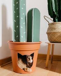 Katzenhaus Katzenbett Katzenbett Selbermachen Kreatives Katzenbett Kaktus Basteln Diy Cat Toys Diy Stuffed Animals Cat Diy
