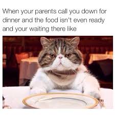Pin By Maze Wright On Hilarious Internet Funny Funny Pictures Funny Memes