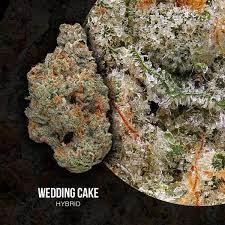 Best Gdw Wedding Cake Strain Best Caanabis Delivery Kushjacanna Healthy Herbs Wedding Cake Strain Wedding Cakes