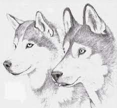 dessin de husky chien loup facile coloriage ciseaux bord