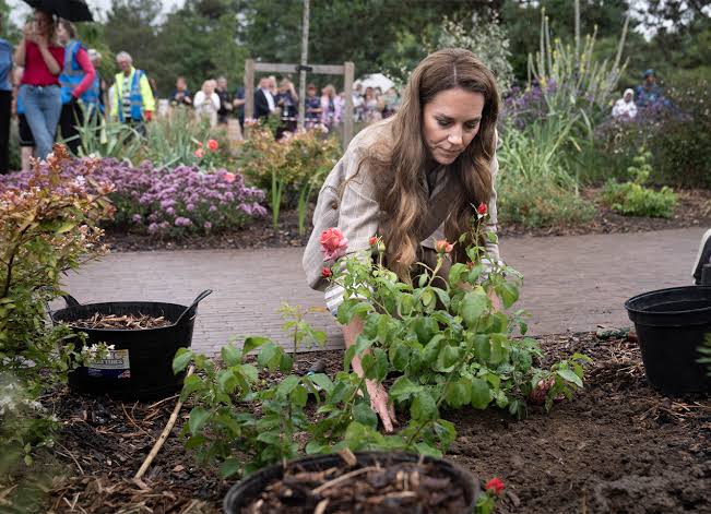 Kate Middleton's Surprise Visit After Missing Royal Ascot