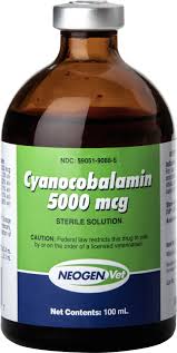 Depending on the injection being given, try offering your cat a special food or treat as a distraction while you administer the injection. Cyanocobalamin Vitamin B12 Injectable Solution For Horses 5000 Mcg 100 Ml Chewy Com