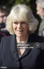 589 Dog Headed Stock Photos, High-Res Pictures, and Images