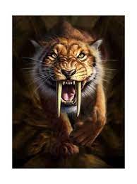 Full On View Of A Saber Toothed Tiger Sabertooth Tiger Tiger Art Sabertooth