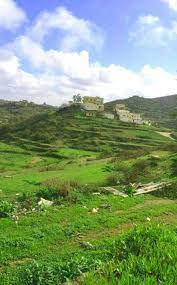 قرية الحامرة بني مالك بجيلة جنوب الطايف natural landmarks places travel