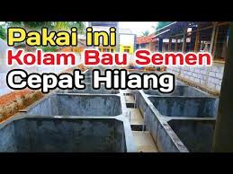 Pin On Ikan