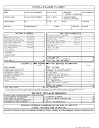 Personal Financial Statement Financial Plan Template Financial Statement
