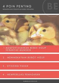 Lebih lengkapnya simaklah pembahasan kami mengenai materi hewan herbivora mulai dari pengertian, ciri, contoh, nama, gambar, penjelasan, dan makanannya di bawah ini. 15 Penyakit Pada Bebek Yang Sering Menyerang Dan