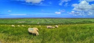 Maybe you would like to learn more about one of these? Ostfriesland Landschaft Natur Ostfriesland