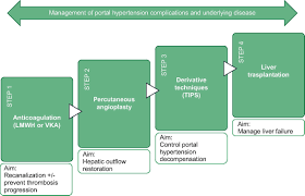 Current Knowledge In Pathophysiology And Management Of Budd Chiari Syndrome And Non Cirrhotic Non Tumoral Splanchnic Vein Thrombosis Journal Of Hepatology
