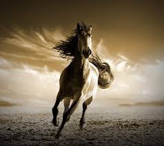 Maybe you would like to learn more about one of these? Hd Wallpaper Running Horse Wallpaper Flare