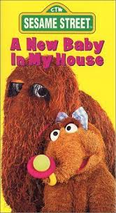A New Baby In My House New Baby Products Sesame Street Still Picture