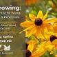 “Get Growing” with the Budding Optimist - Dig Deep Into the World of Annuals and Perennials