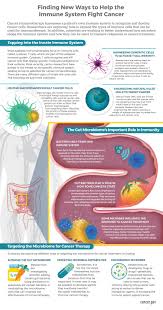 They support and optimize them over the long haul.you want to give the immune system a chance to react in its appropriately. The Immune System And Microbiome National Cancer Institute