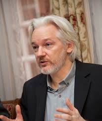 The Savory Tort: Me and Julian Assange