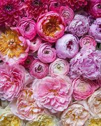 Plus local florists and flower shops that rate highly. Freeman S Flowers And Gifts Home Facebook