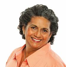 Pedestrian parkway bridge taking shape