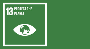 Sustainable development goal 13 (sdg 13 or goal 13) is about climate action and is one of the 17 sustainable development goals established by the united nations in 2015. Sdg 13 Fight Climate Change And Its Effects