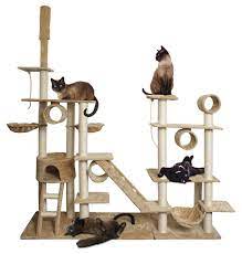 Pin On Cats