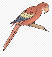 10/02/2011 pukul 17:23 pukul 17:23. Download Bird Branch Wings Macaw Png Image Outline Picture Sketsa Gambar Burung Macaw Bird Outline Png Free Transparent Png Images Pngaaa Com