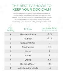 So if you are looking for kitchen cabinets on sale, ready to assemble kitchen cabinets, rta kitchen cabinets, and even wholesale kitchen cabinets, then you we have a satisfied customer base in the usa, canada and the islands. Canine Cable The Best Tv Shows To Keep Your Dog Calm Wren Kitchens