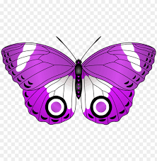 Please wait while your url is generating. Download Purple Butterfly Transparent Clipart Png Photo Toppng