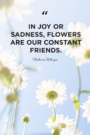 That is the power of words: 48 Inspirational Flower Quotes Cute Flower Sayings About Life And Love