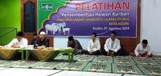 Satu kambing mewakili qurban sekeluarga abu ayyub al anshari radhiyallahu 'anhu menuturkan: Songsong Idul Adha Pcnu Kota Kediri Bekali Ranting Cara Sembelih Qurban Nu Kota Kediri