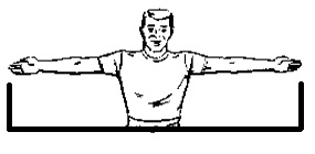 Image result for Arm Span
