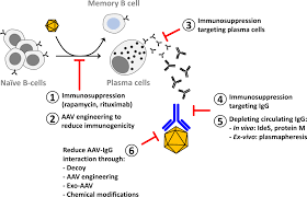 Image result for White 1999 AAV